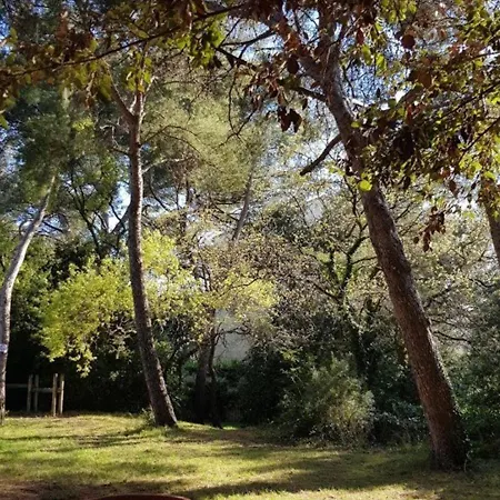 T2 Avec Piscine, Tennis Et Parking - A 400 M Des Plages Et Commerces - Fr-1-316-16